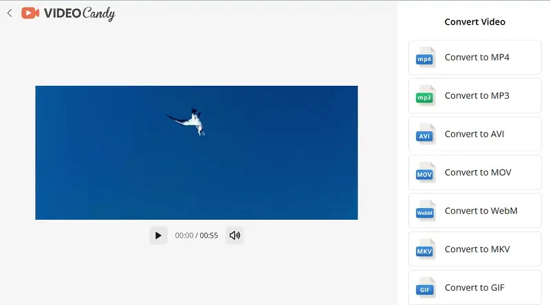 Convierte MP4 a AVI en línea con Video Candy
